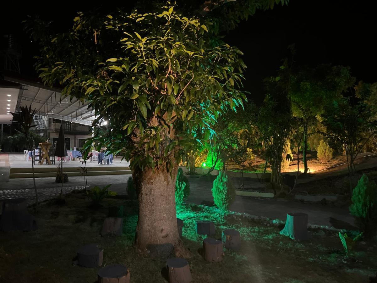 La Plumerias Moalboal Ngoại thất bức ảnh