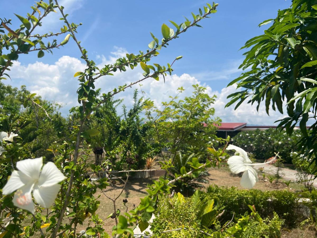 La Plumerias Moalboal Ngoại thất bức ảnh