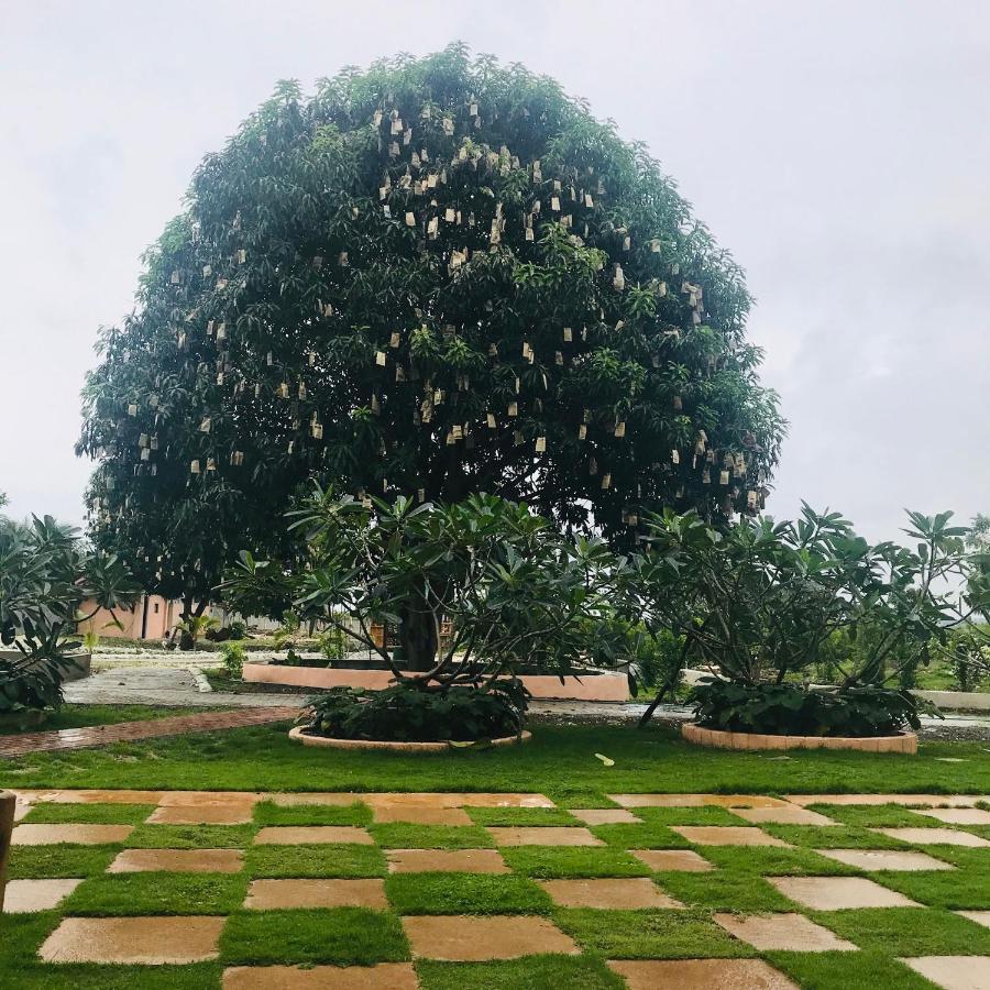La Plumerias Moalboal Ngoại thất bức ảnh