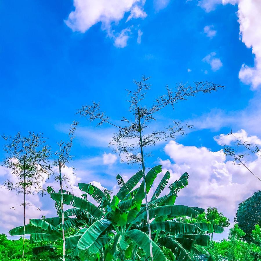 La Plumerias Moalboal Ngoại thất bức ảnh