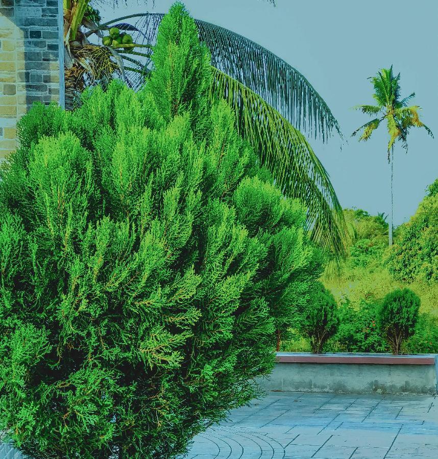 La Plumerias Moalboal Ngoại thất bức ảnh